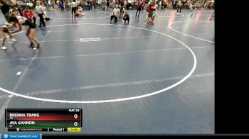 106 lbs Cons. Round 3 - Ava Gannon, IA vs Brenna Trang, TX