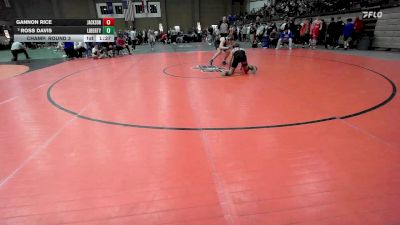 150 lbs Champ. Round 3 - Ross Davis, Liberty vs Gannon Rice, Jackson