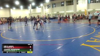138 lbs Round 2 (6 Team) - Joe D Amico, Ohio Titan Blue vs Cooper Wisniewski, Team Nauman Orange