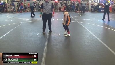 60 lbs Cons. Round 3 - Brantley Lamp, Mount Vernon Killer Bees vs Caleb Schmidt, Anna Youth Wrestling