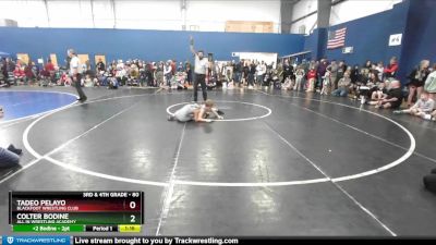 80 lbs Cons. Round 3 - Tadeo Pelayo, Blackfoot Wrestling Club vs Colter Bodine, All In Wrestling Academy