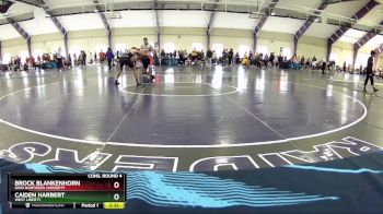 125 lbs Cons. Round 4 - Caiden Harbert, West Liberty vs Brock Blankenhorn, Ohio Northern Univerity