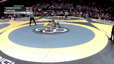 D1-126 lbs Cons. Round 3 - Harrison Haffner, Brecksville vs Ayden Jobe, Hamilton Township