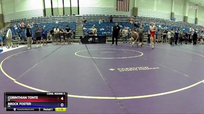 175 lbs Cons. Round 3 - Corinthian Tonte, IN vs Brock Foster, MI