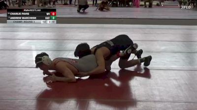 133 lbs Champ. Round 1 - Andrew Marchese, Castleton vs Charlie Pavis, Worcester Polytechnic