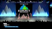Dancin with Roxie - Brave [2025 Mini - Contemporary/Lyrical - Large Semis] 2025 The Dance Summit