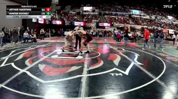 A - 165 lbs Cons. Round 1 - Arthur Haertwig, Dawson County vs Hunter Rooney, Libby / Troy