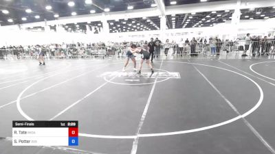 155 lbs Semifinal - Rianna Tate, Rkda vs Shaylin Potter, 209 Wrestling