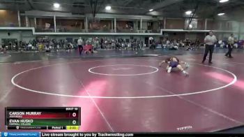 133 lbs Champ. Round 1 - Evan Husko, Cornell College vs Carson Murray, Augsburg