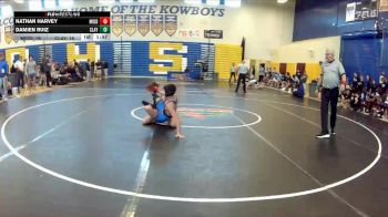 113 lbs Quarterfinals (8 Team) - Nathan Harvey, Middleburg vs Damien Ruiz, Clay