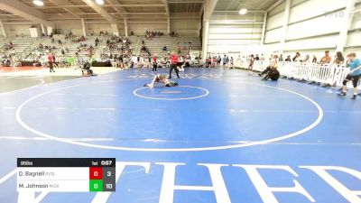 95 lbs Rr Rnd 1 - Quinn Bagnell, Revival Blue vs Michael Johnson, Micky's Maniacs Black