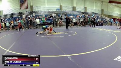 106 lbs Quarterfinal - Tyson Bosco, OH vs Tate St. Laurent, IN