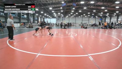 88 lbs Round 5 (4pm Saturday) - Walker Hoffman, PA USA vs Aaron Lopez, Cali Red