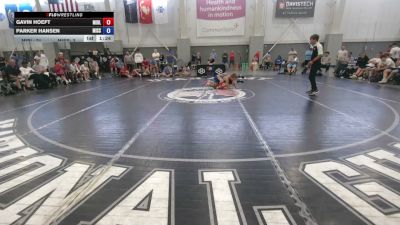 113 lbs Gavin Hoeft, Minnesota Blue vs Parker Hansen, Missouri