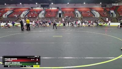 119 lbs Cons. Round 9 - Brody Koselke, Region Wrestling Academy vs Tyler White, Lake Gibson