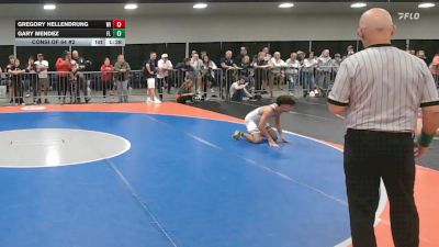 113 lbs Consi Of 64 #2 - Gregory Hellendrung, WI vs Gary Mendez, FL