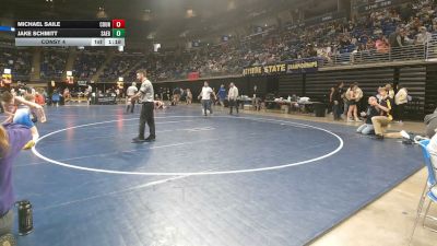 96 lbs Consy 4 - Michael Saile, Council Rock North vs Jake Schmitt, Saegertown