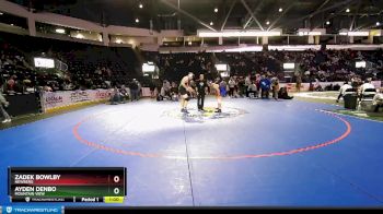 215 lbs Cons. Round 6 - Zadek Bowlby, Newberg vs Ayden Denbo, Mountain View