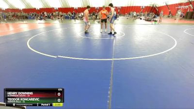 175 lbs Placement (16 Team) - Henry Downing, Glenbrook South vs Teodor Koncarevic, Vernon Hills