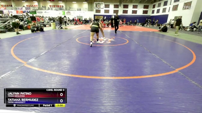 145 lbs Cons. Round 3 - Jalynn Patino, Texas Wesleyan vs Tatiana Bermudez, Tiffin University