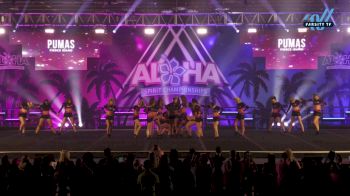 Fierce Idaho - Pumas [2025 L2 Senior - Small Day 2] 2025 Aloha Grand Nationals