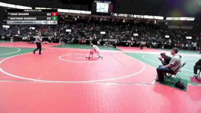 84 lbs Champ. Round 2 - Matthew Sheehan, BTWA vs Crue Shaner, WKA2