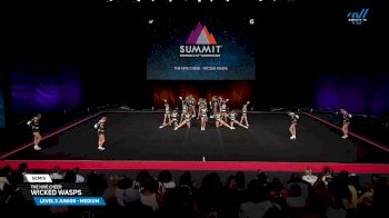 The Hive Cheer - Wicked Wasps [2025 L3 Junior - Medium Semis] 2025 The D2 Summit