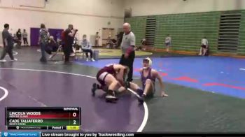 126 lbs Semifinal - Lincoln Woods, Mercer Island vs Cade Taliaferro, North Creek
