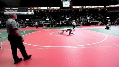 132 lbs 1st Place Match - Mason Nagel, DWC3 vs Cash Dorazio, EAG2