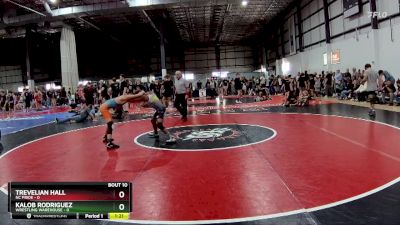 106 lbs Placement Matches (8 Team) - Kalob Rodriguez, WRESTLING WAREHOUSE vs Trevelian Hall, NC PRIDE