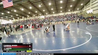 190 lbs Cons. Round 1 - Cameron Jensen, Mountain View vs CJ Gibson, Lone Peak