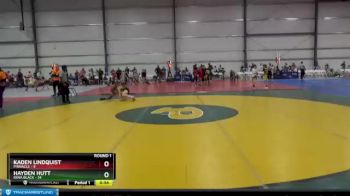 88 lbs Round 1 - Hayden Hutt, Iowa Black vs Kaden Lindquist, PINnacle