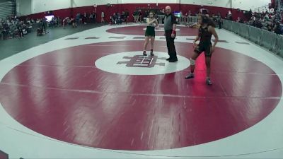 125 lbs Quarterfinal - Bianna Lee, Faith Lutheran vs Camryn Lee, Virgin Valley