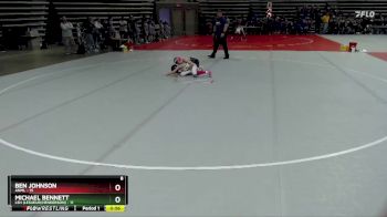 70 lbs Semis (4 Team) - Michael Bennett, LSH (LeSueur/Henderson) vs Ben Johnson, ANML