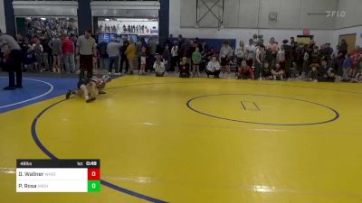 48 lbs Round Of 16 - Domenick Wallner, Wheeling WC vs Paxton Rosa, Orchard WC