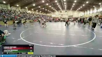 144 lbs Cons. Round 5 - Colton Bingham, Pleasant Grove vs Logan Diether, American Fork