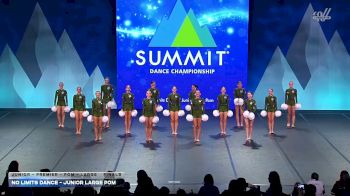 No Limits Dance - Junior Large Pom [2026 Junior - Premier - Pom - Large Finals] 2026 The Dance Summit