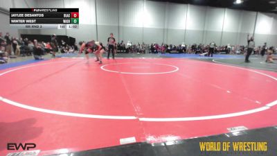 110 lbs Rr Rnd 3 - Jaylee DeSantos, Black Widows 7-12 vs Winter West, Washington 7-12