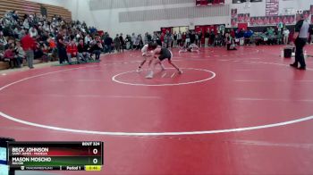 127 lbs Cons. Round 3 - Beck Johnson, Saint James - Madelia vs Mason Moscho, Rocori