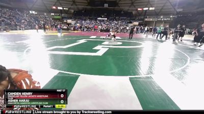 74 lbs Cons. Round 4 - Asher Harju, Anacortes Hawkeyes Wrestling Club vs Camden Henry, Enumclaw Yellow Jackets Wrestling Club