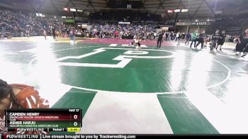 74 lbs Cons. Round 4 - Asher Harju, Anacortes Hawkeyes Wrestling Club vs Camden Henry, Enumclaw Yellow Jackets Wrestling Club