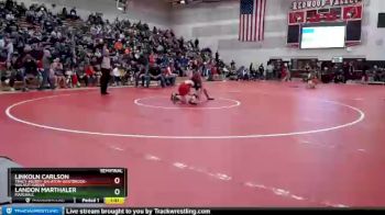 106 lbs Semifinal - Linkoln Carlson, Tracy-Milroy-Balaton-Westbrook-Walnut-Grove vs Landon Marthaler, Marshall