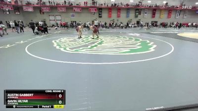 141 lbs Cons. Round 3 - Gavin Hilyar, Augsburg vs Austin Gabbert, Augsburg