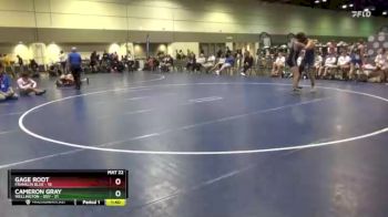 170 lbs Round 5 (10 Team) - Gage Root, Franklin Blue vs Cameron Gray, Wellington - Dev