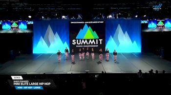 Dance Dynamics - Mini Elite Large Hip Hop [2025 Mini - Hip Hop - Large Semis] 2025 The Dance Summit