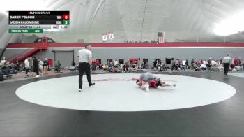 141 lbs Champ. Round 1 - Caden Polson, Wabash vs Jaden Palombine, King