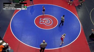 91 lbs Quarterfinal - Addie Saussol, Canon-McMillan vs Cidney Shaffer, Lackawanna Trail