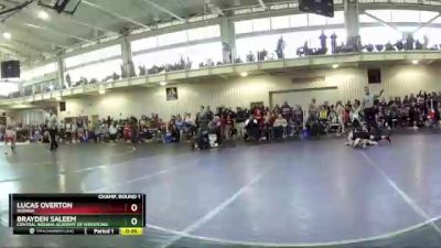 87 lbs Champ. Round 1 - Brayden Saleem, Central Indiana Academy Of Wrestling vs Lucas Overton, Indiana