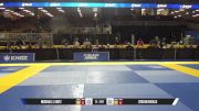 Stefan Faville vs Michael J. Lintz 2025 Pan Jiu Jitsu IBJJF Championship