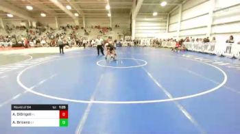 132 lbs Round Of 64 - Andres DiGrigoli, FL vs Adreian Briceno, UT